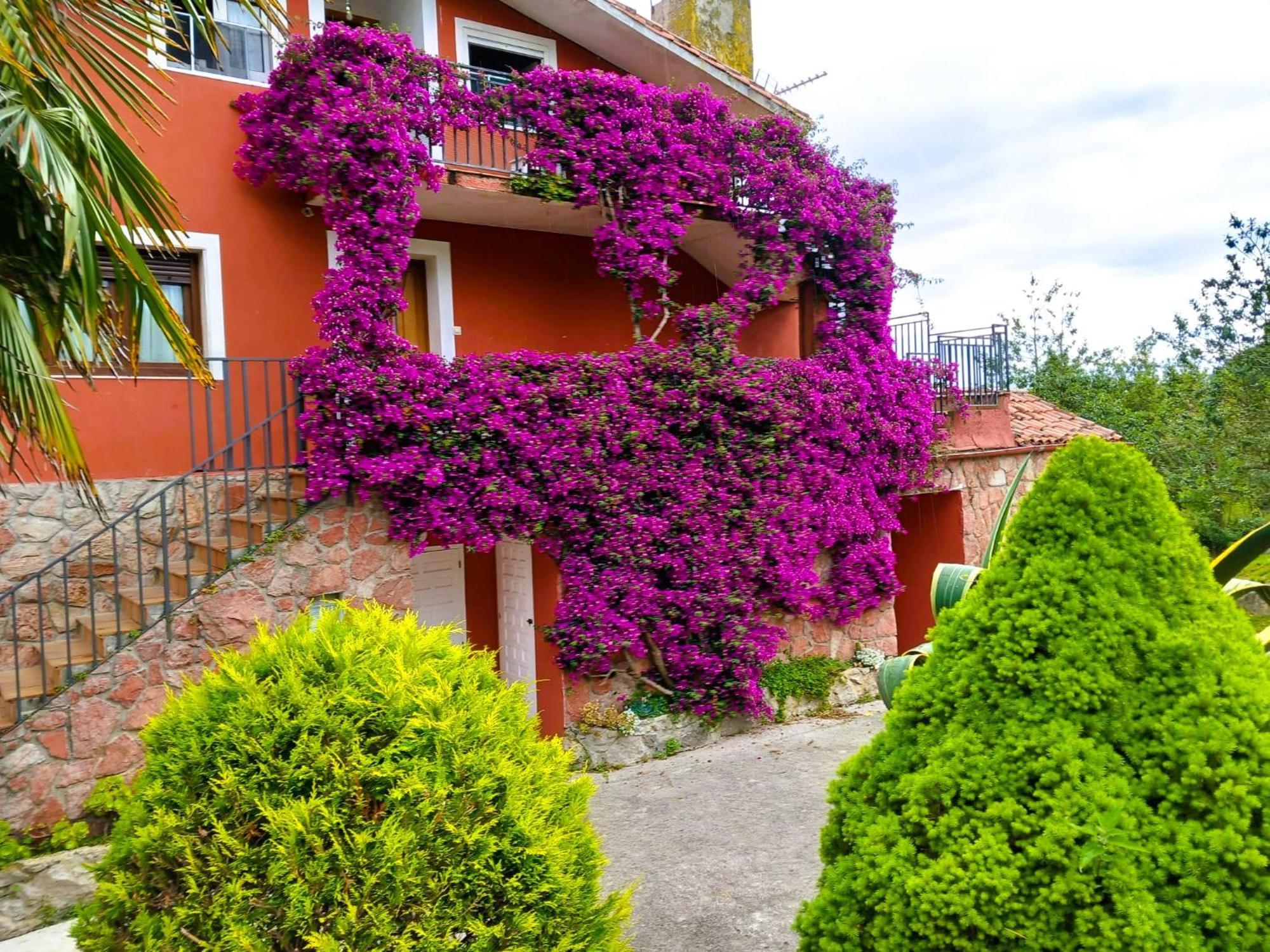 Apartamentos Mariaje Barro  Exteriér fotografie