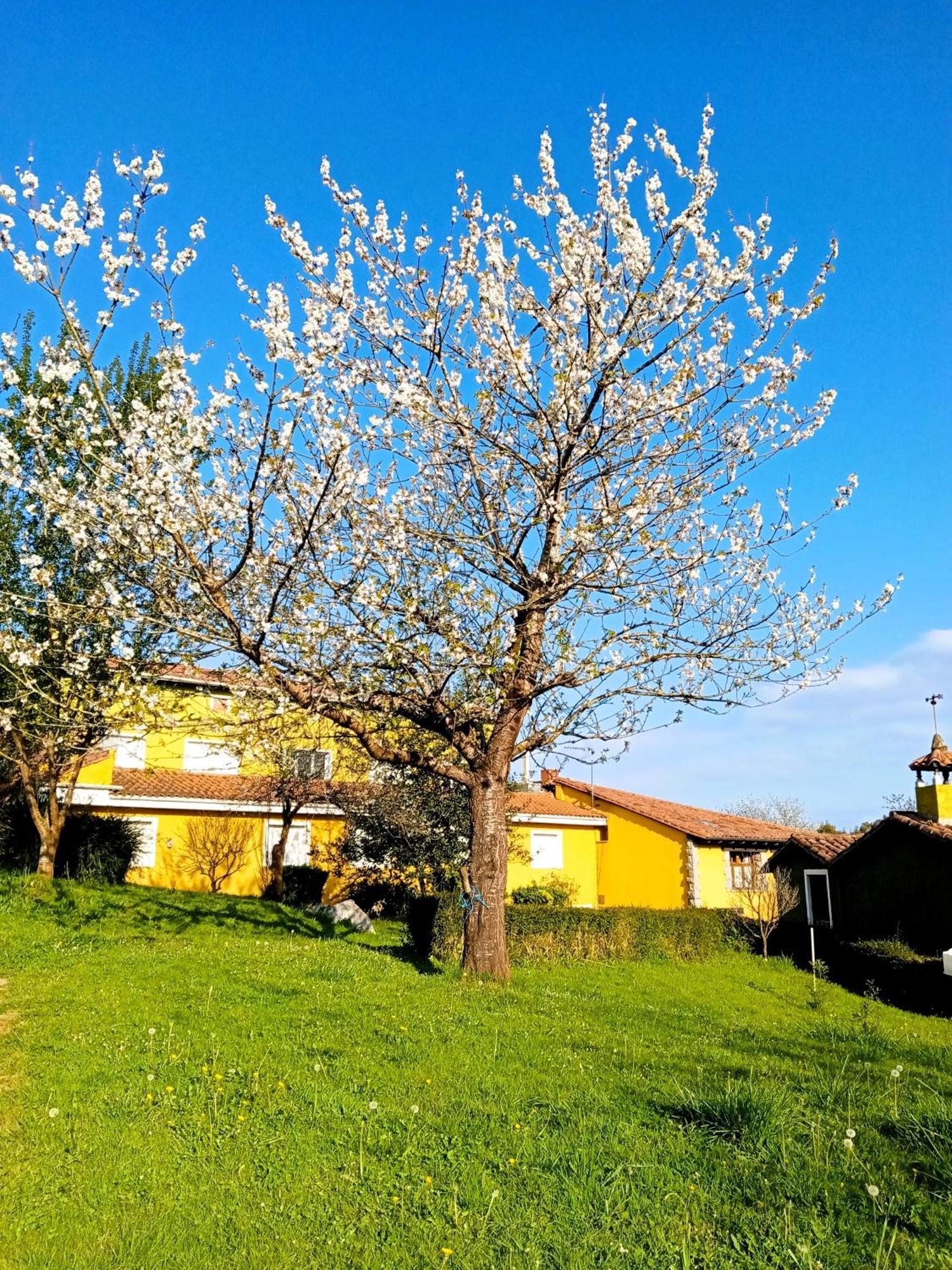 Apartamentos Mariaje Barro  Exteriér fotografie